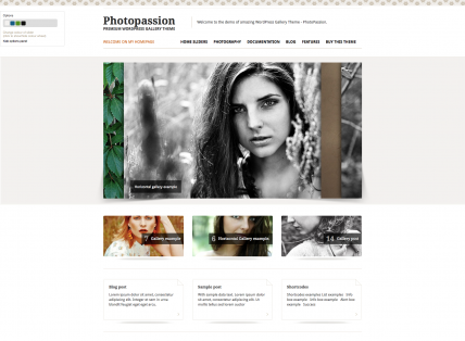 25 Best WordPress Photography Themes 