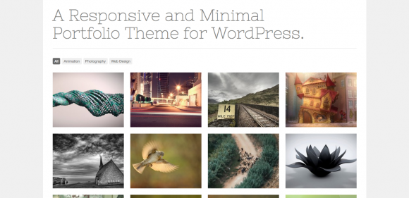 20 Best WordPress Gallery Themes