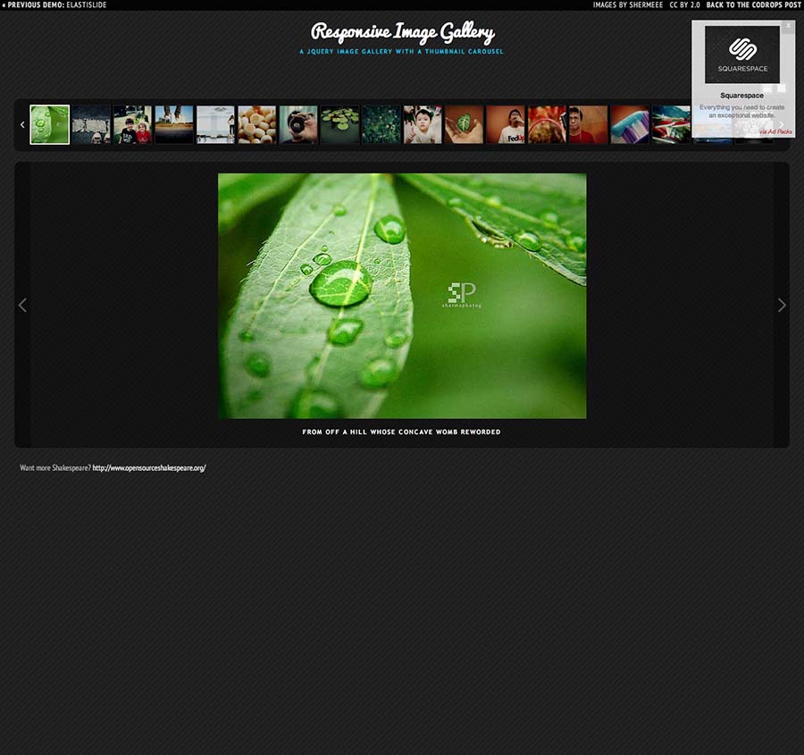 10 Useful jQuery Image Gallery Plugins