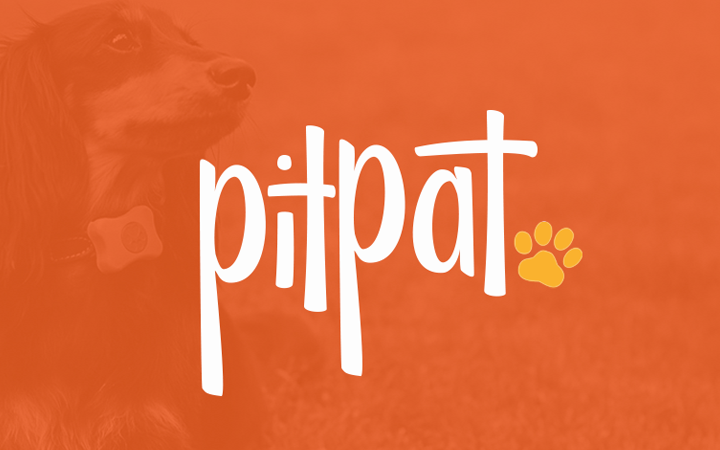 pitpat logo branding typography design