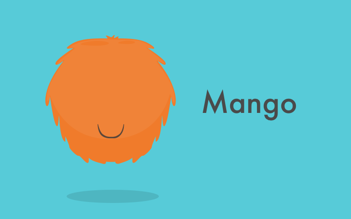 mango orange logo custom design