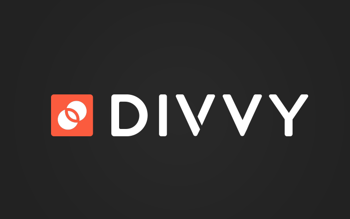 divvy logo custom typography branding