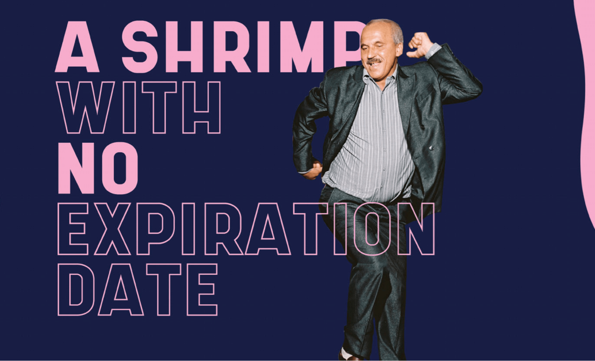 Shrimp free font